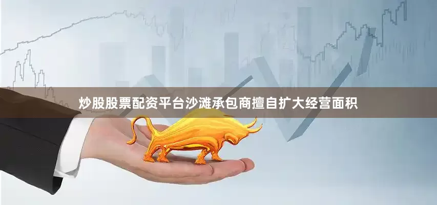 炒股股票配资平台沙滩承包商擅自扩大经营面积