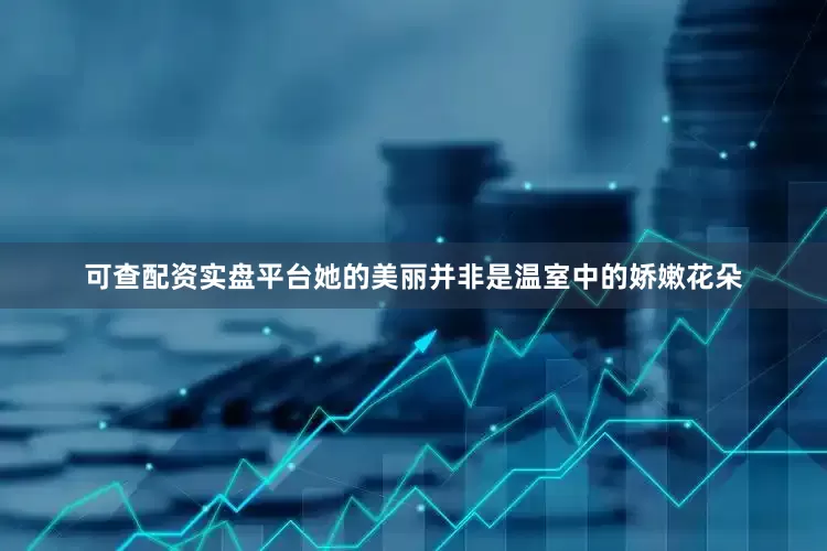 可查配资实盘平台她的美丽并非是温室中的娇嫩花朵