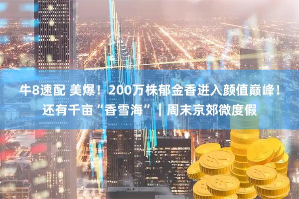 牛8速配 美爆！200万株郁金香进入颜值巅峰！还有千亩“香雪海”｜周末京郊微度假