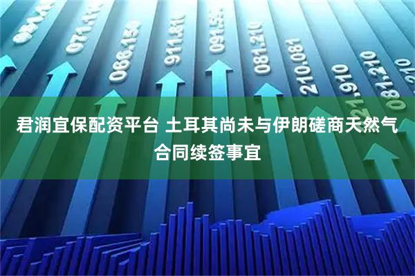 君润宜保配资平台 土耳其尚未与伊朗磋商天然气合同续签事宜