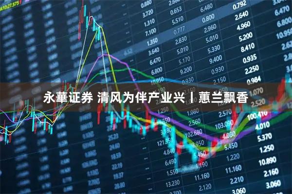 永華证券 清风为伴产业兴丨蕙兰飘香